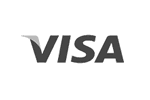 logo visa.com